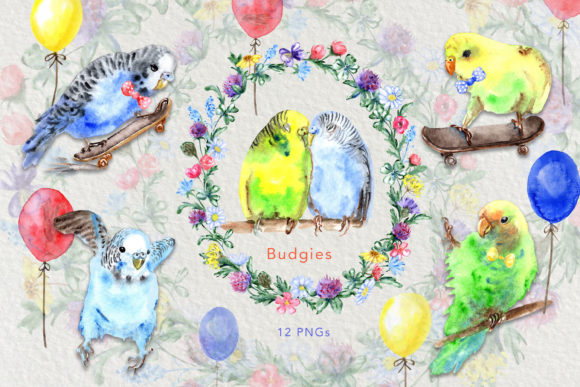 Watercolor Cute Budgie Birds Clip Art