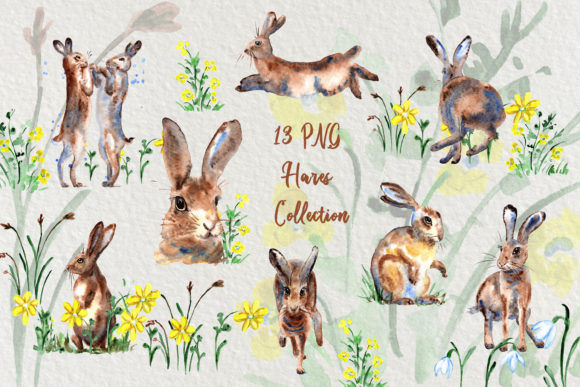 Watercolor Cute Hare Collection Clip Art: A Versatile Design Resource for Creatives and Businesses